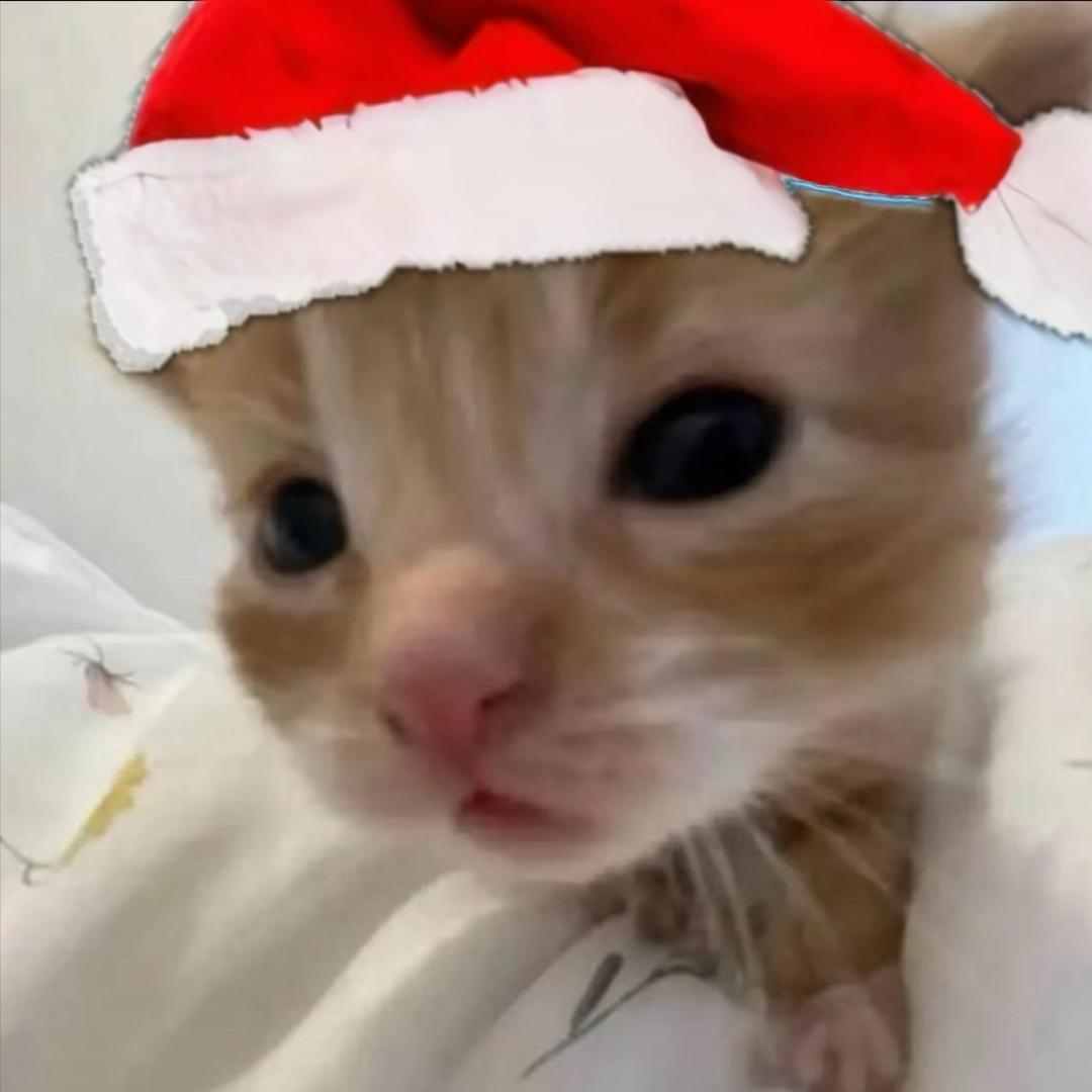 qq  。pp美女私房照