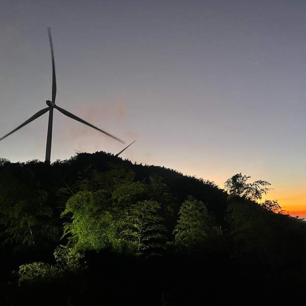 { blogger.collection_name }