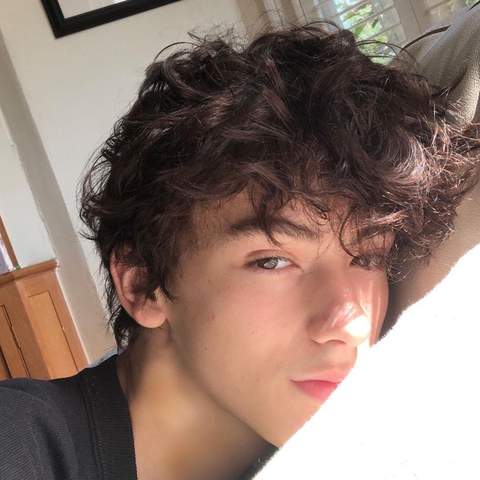 { blogger.collection_name }