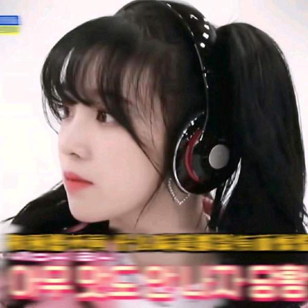 { blogger.collection_name }