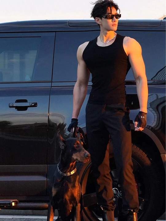 有一种黑 叫 杜宾黑