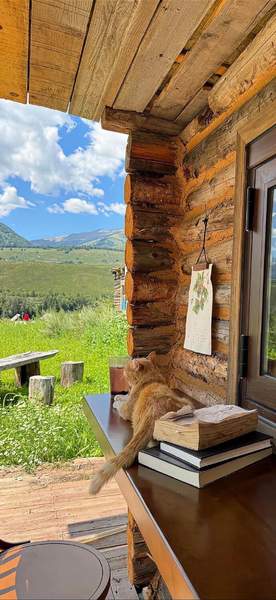 美女壁纸今天是甜妹