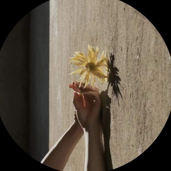 { blogger.collection_name }