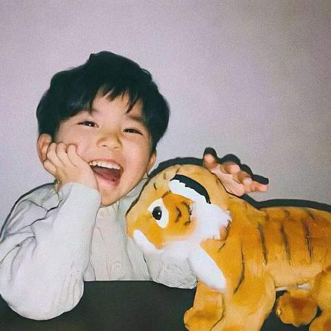 { blogger.collection_name }