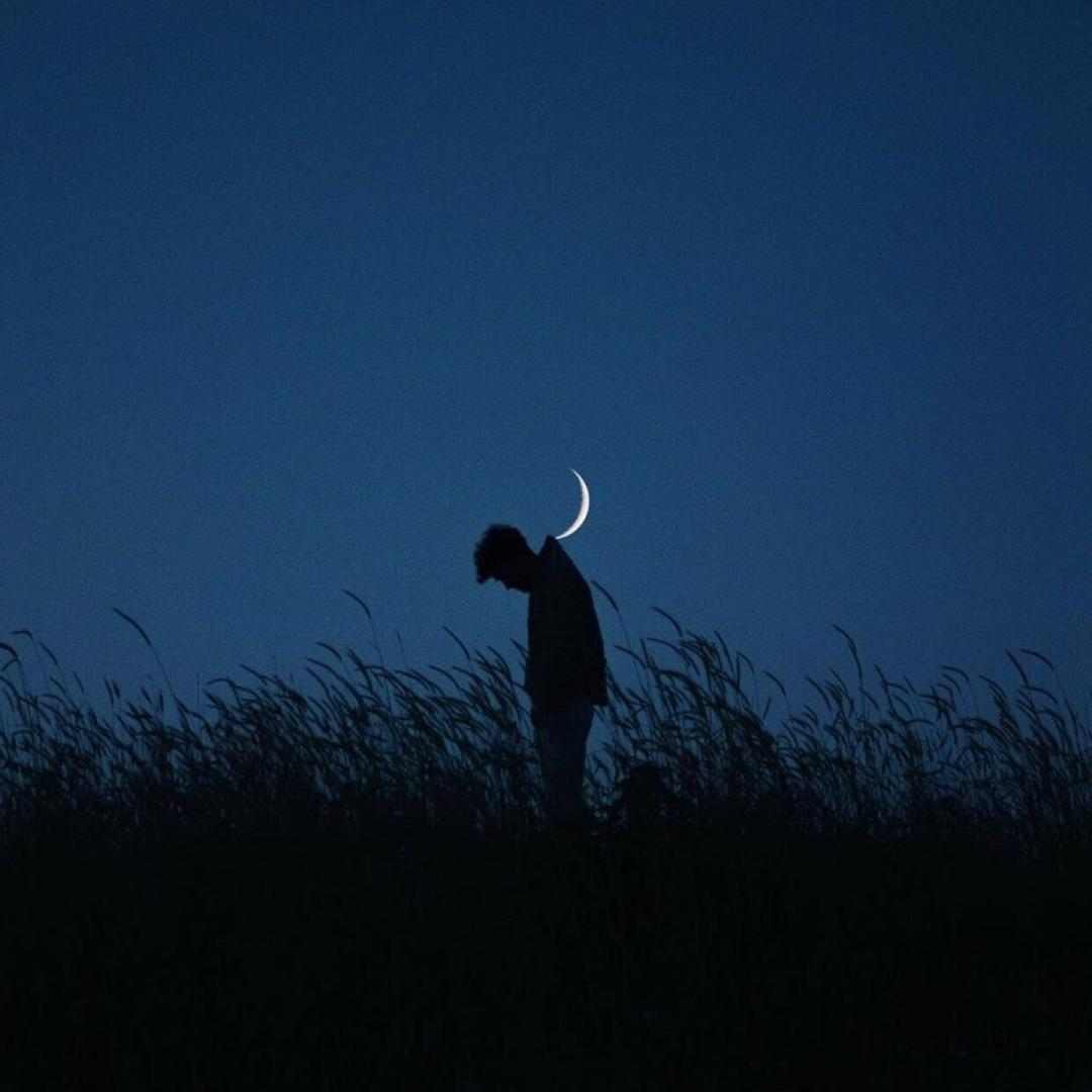 { blogger.collection_name }